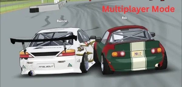 Multiplayer Mode in fr legends